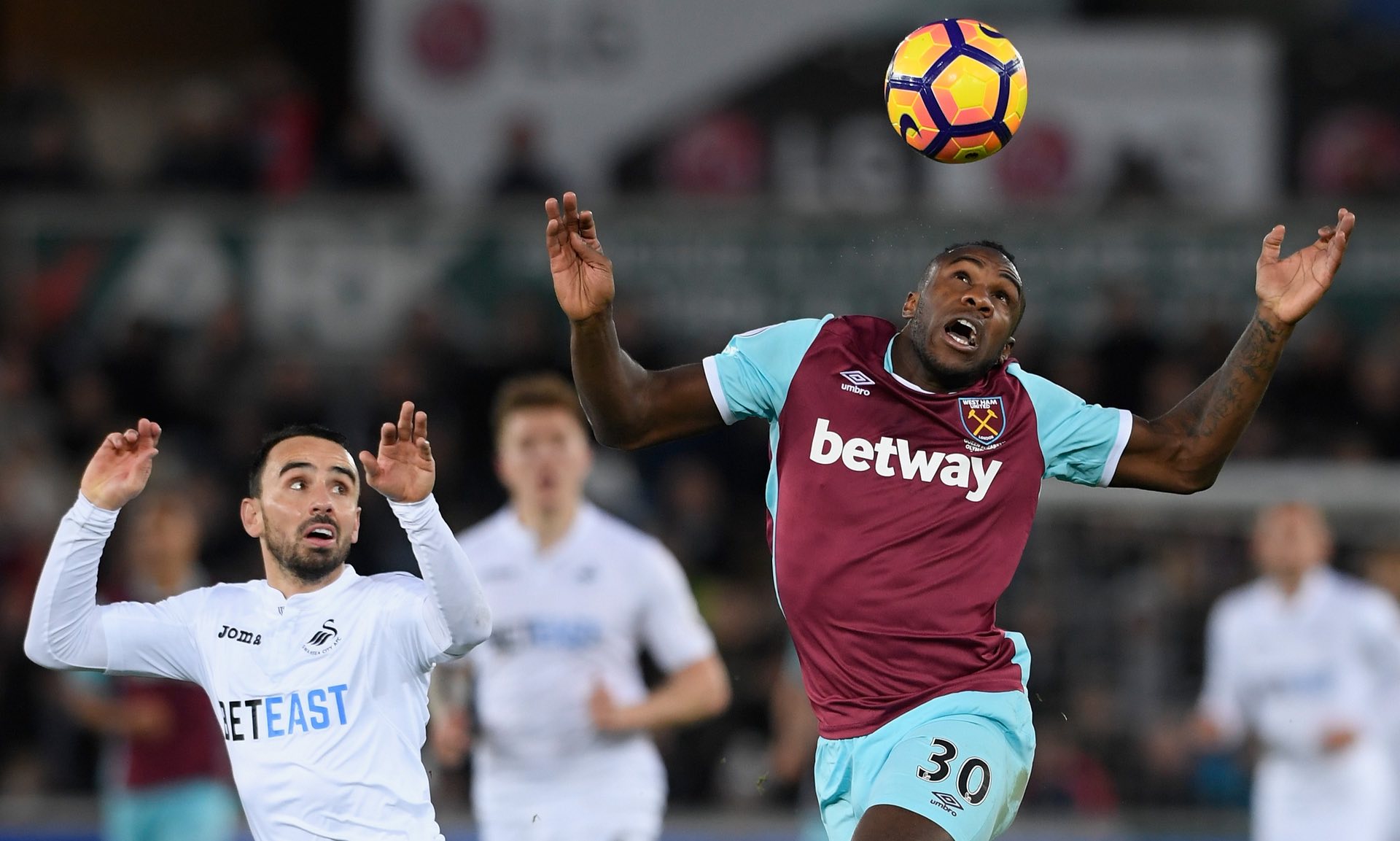 未来的生态 未来的生态